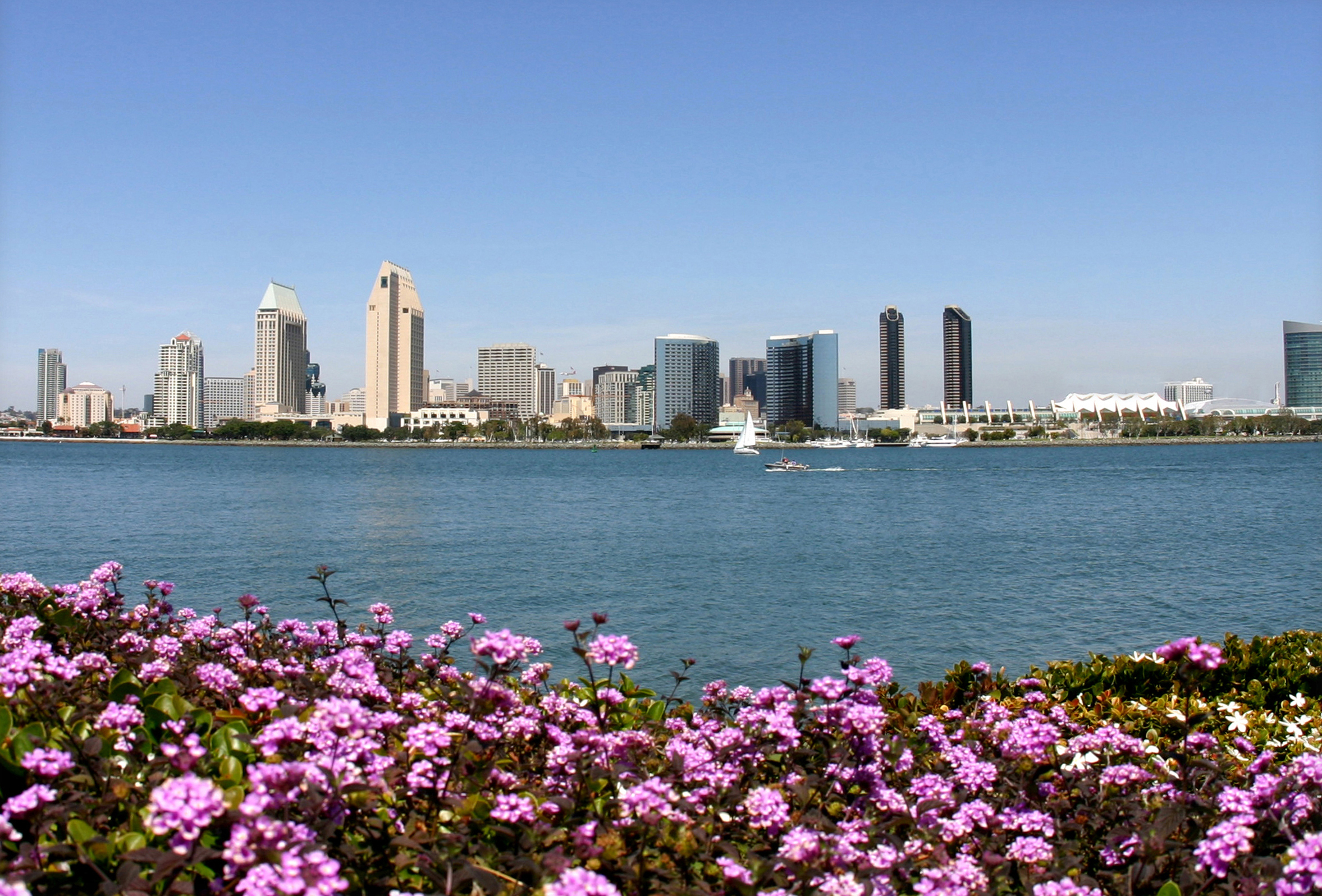 Downtown_Skyline_in_Spring_jdb