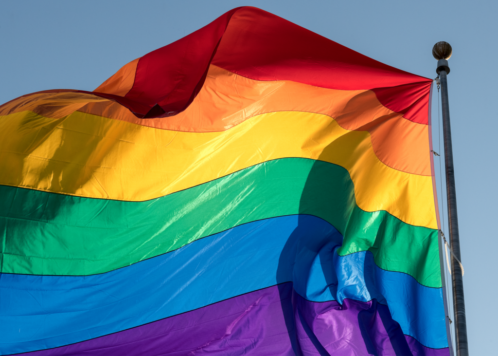 new gay flag 2020