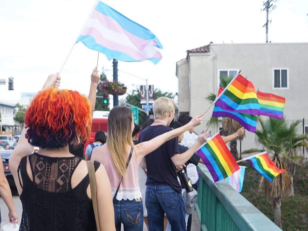 People with Rainbow and Trans Pride flags on a bridge