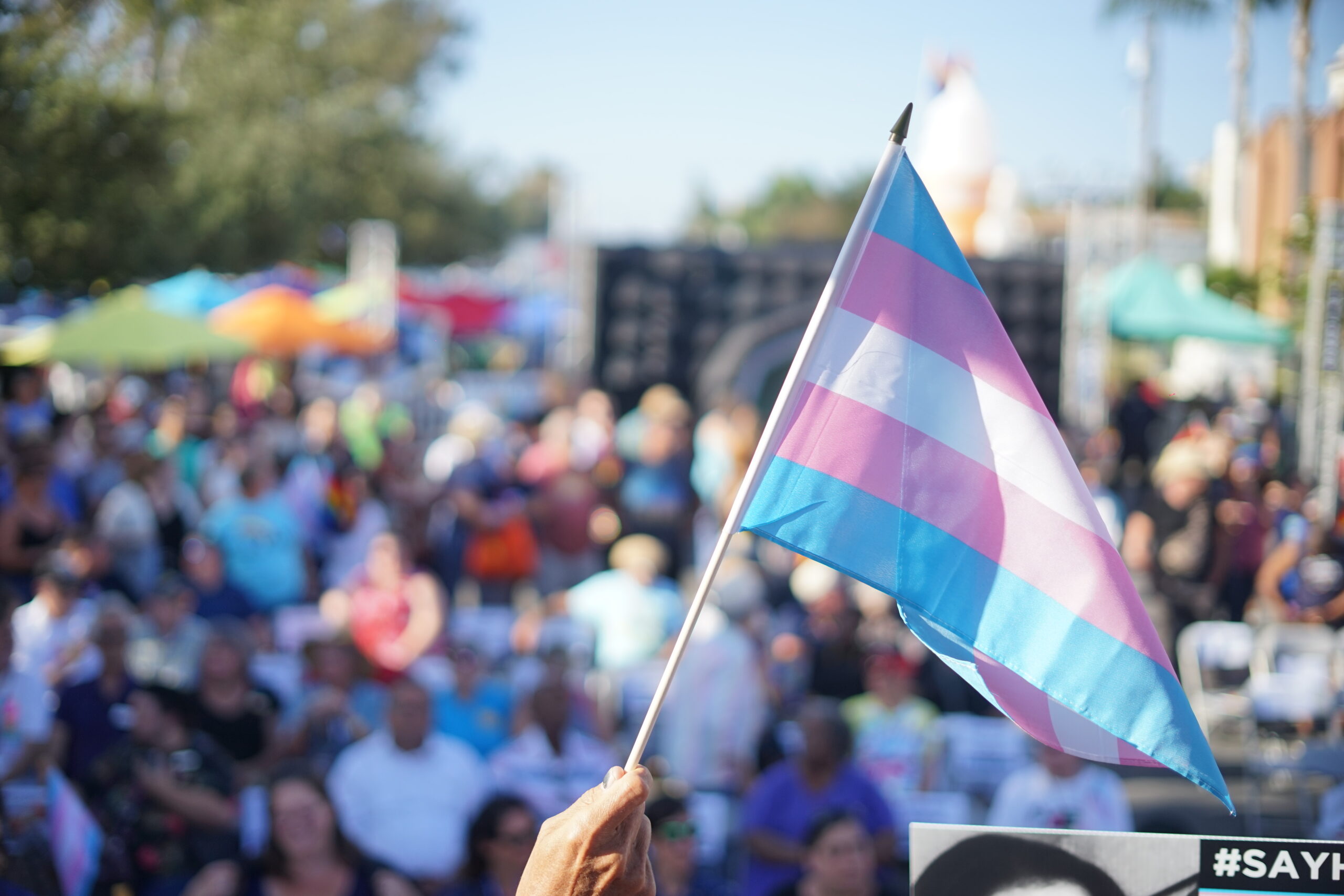 Trans Flag held up in front of crowd