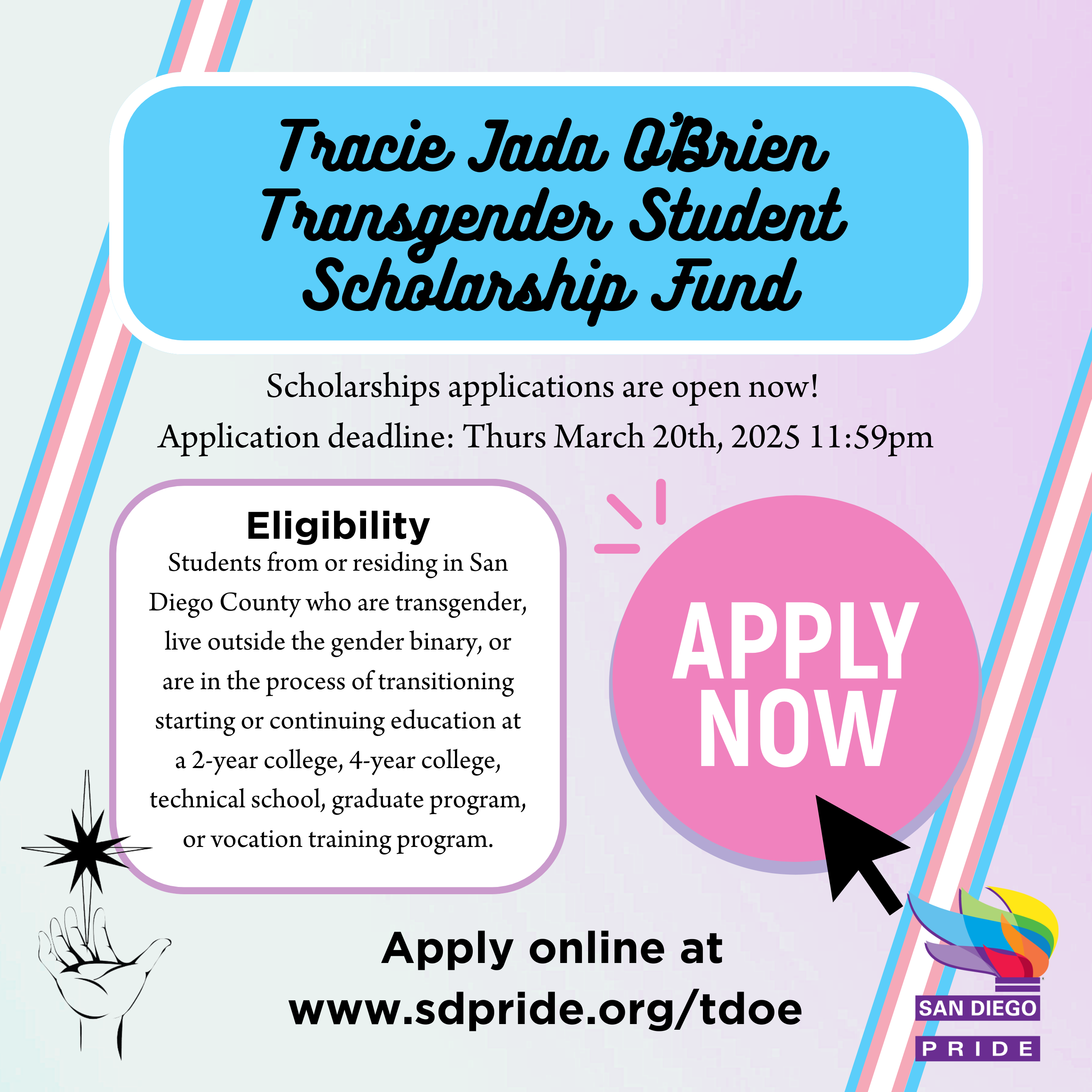 TDOE 2025 scholarship live